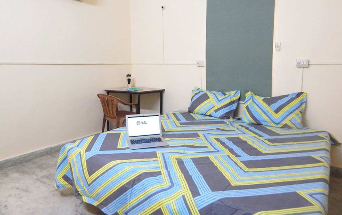 Helloworld Whitelily 4.jpg