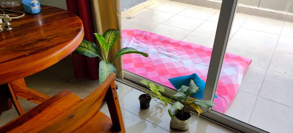 WhatsApp Image 2022-12-01 at 10.55.36.jpeg