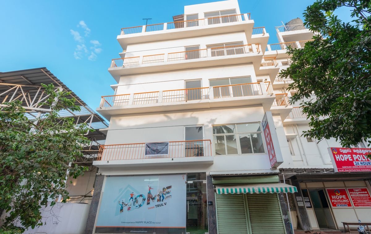 Trulivadonia2375 copy 2.jpg