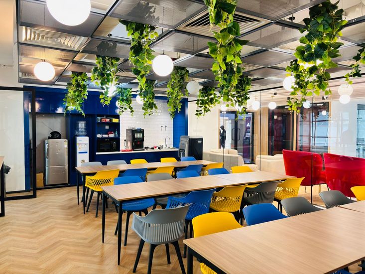 WhatsApp Image 2025-02-24 at 13.20.51.jpeg