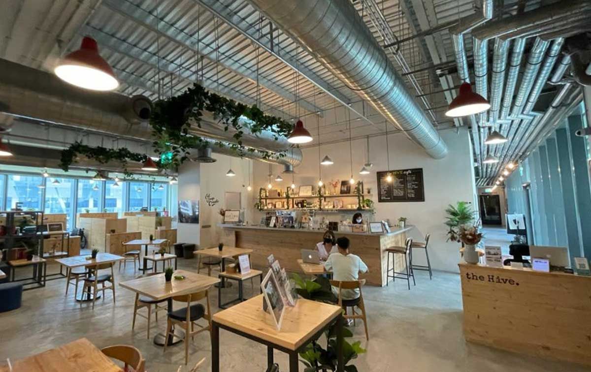 the-hive(4).jpg