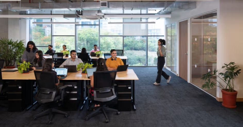 5bd74f9fd4db52cc107f8fe87c16fa7721702e6d-943x494 (1).jpg